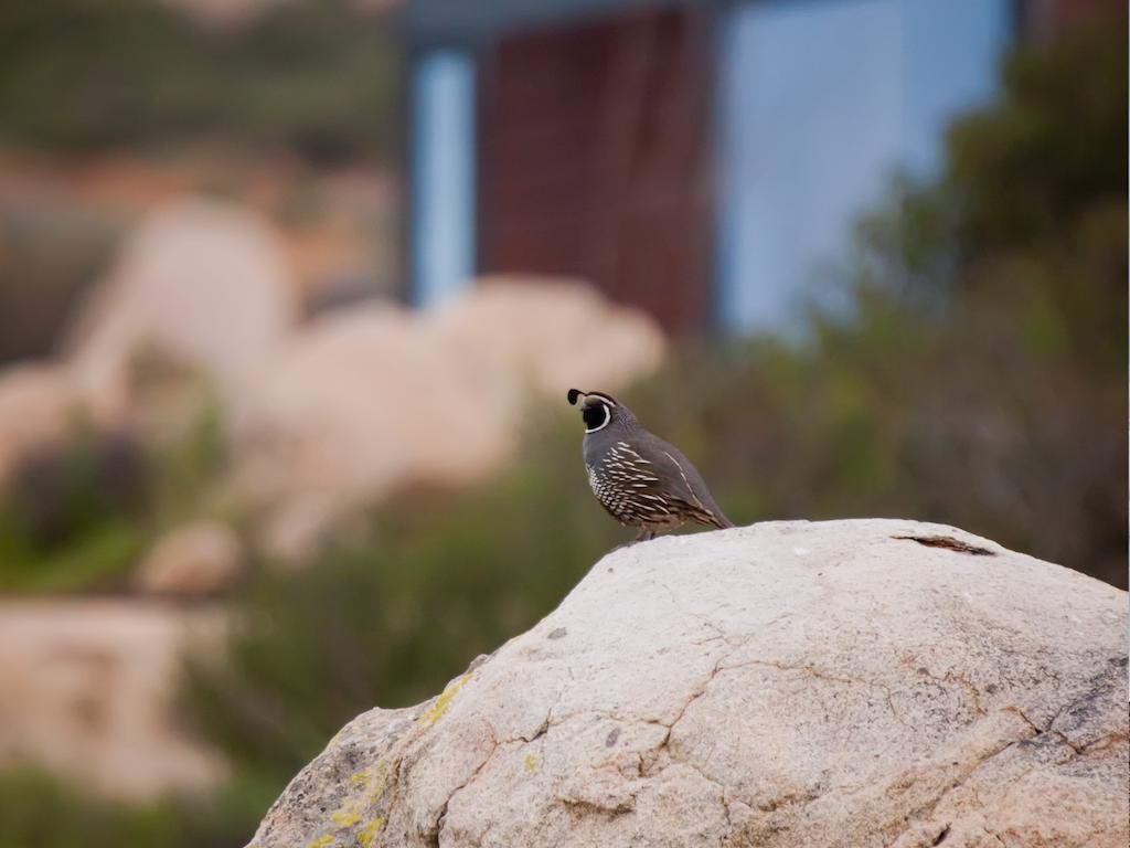 ホテル Encuentro Guadalupe エクステリア 写真